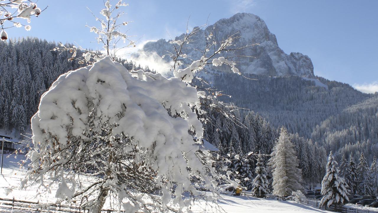 Garni Hotel Rosengarten B&B Selva di Val Gardena Exterior foto